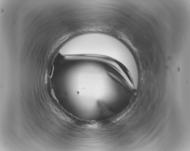 X0000087580068200705112248