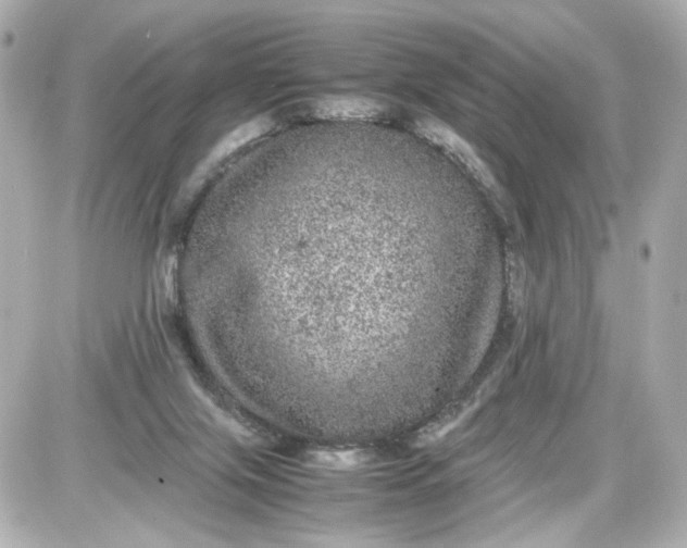 X0000087580071200705112248