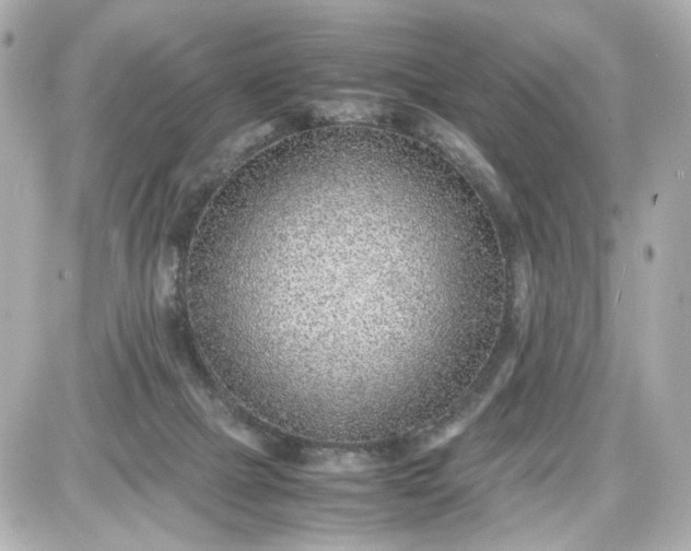 X0000087580073200705112248