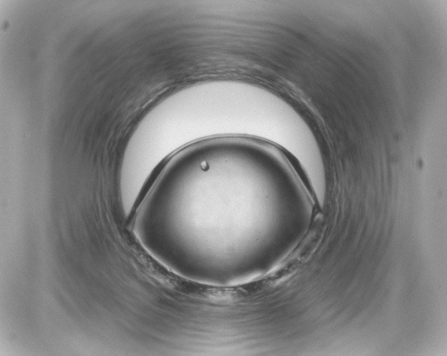 X0000087580076200705112249