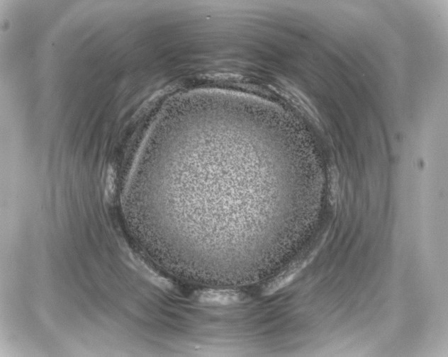 X0000087580077200705112249