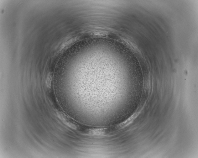 X0000087580078200705112249