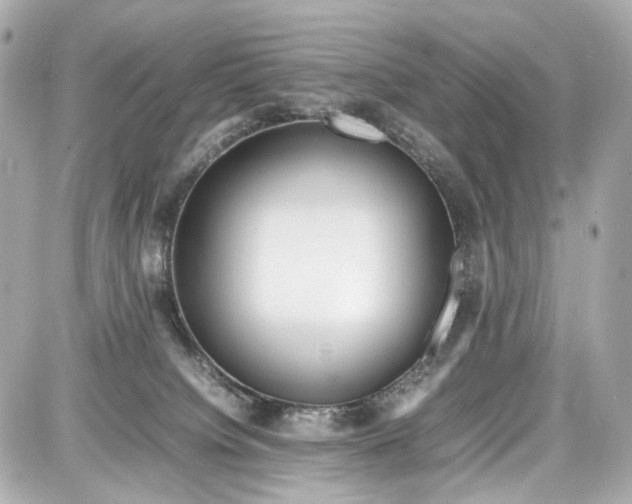 X0000087580084200705112249
