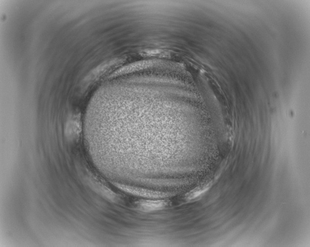 X0000087580085200705112249