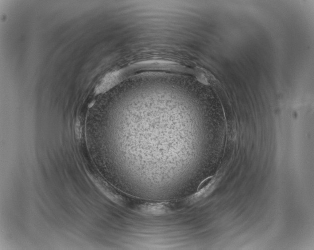 X0000087580086200705112249