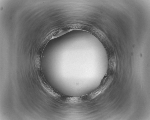 X0000087580092200705112249