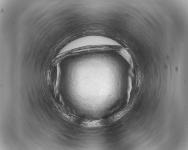 X0000087580093200705112249