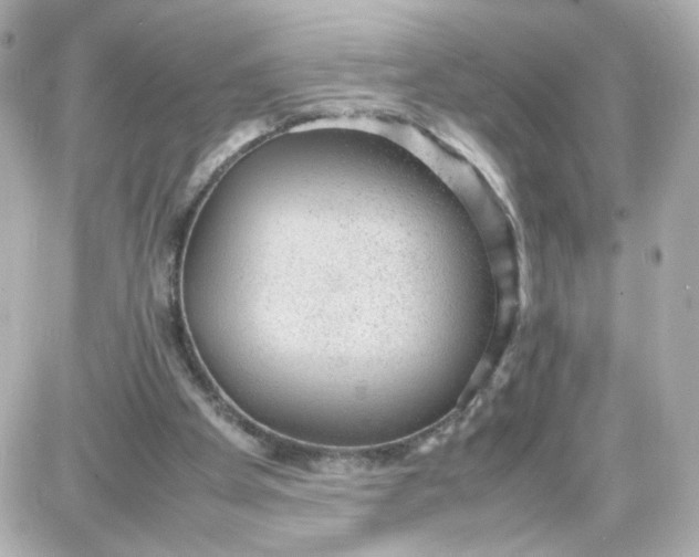 X0000087580105200705112248