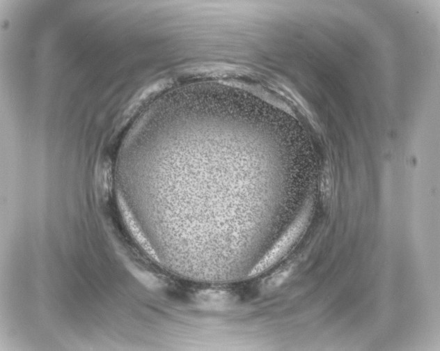 X0000087580119200705112248