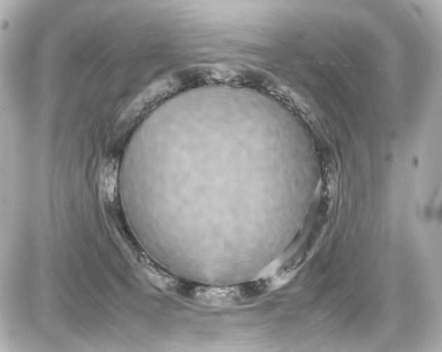 X0000087580129200705112248