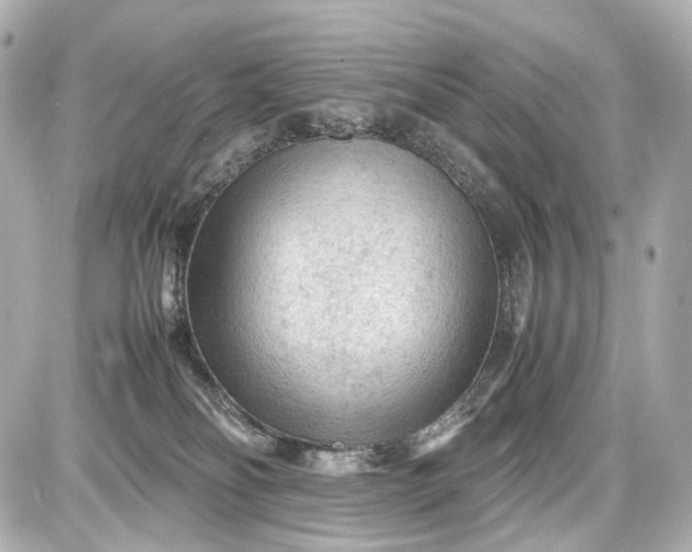 X0000087580134200705112247