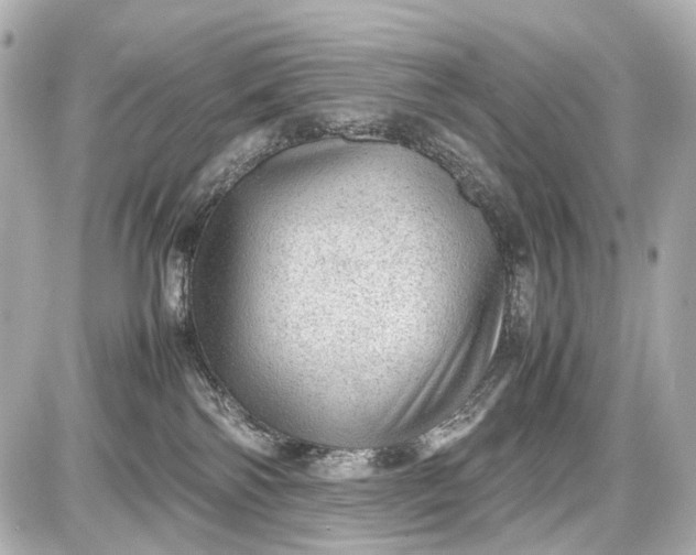 X0000087580138200705112247