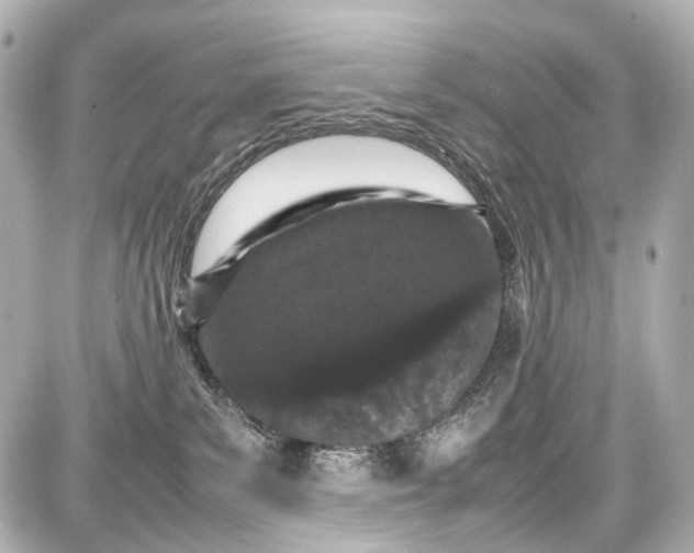X0000087580139200705112247