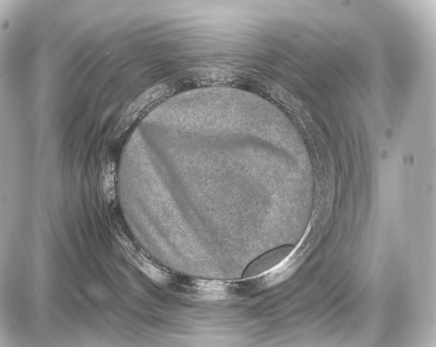 X0000087580144200705112247
