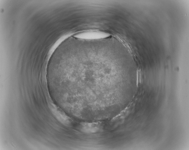 X0000087580147200705112247