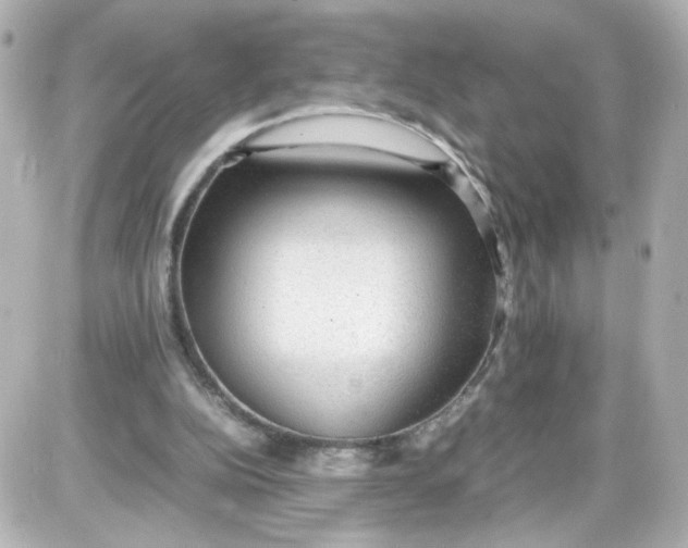 X0000087580152200705112247
