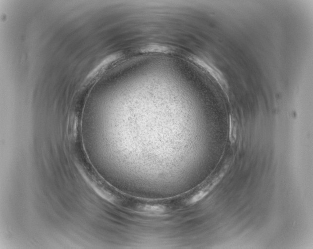 X0000087580157200705112247