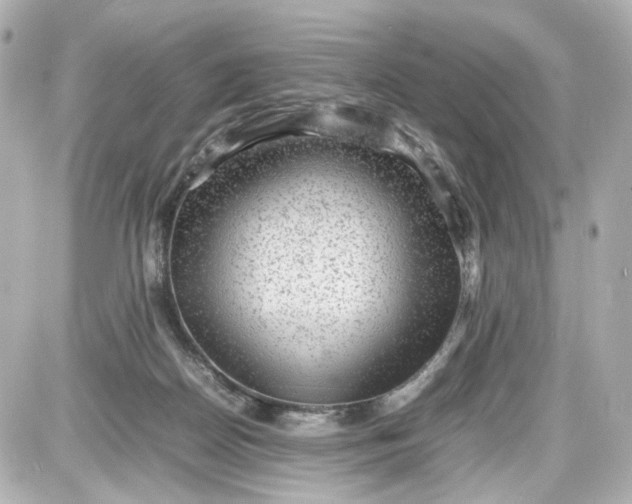X0000087580170200705112247