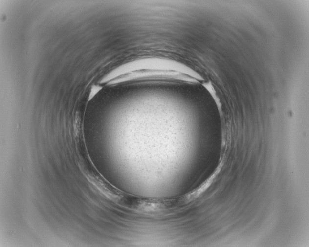 X0000087580174200705112247