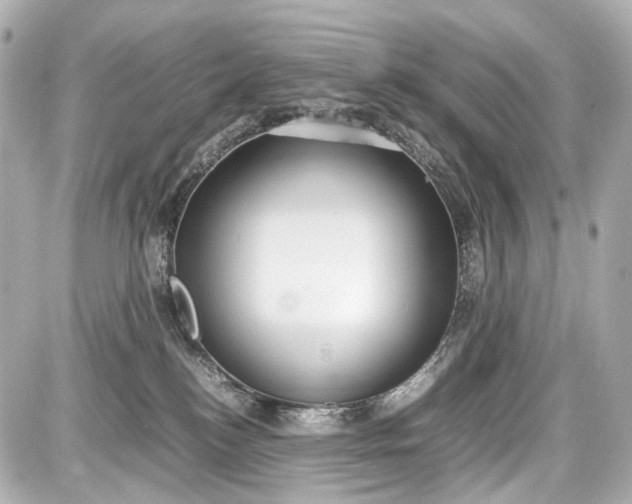 X0000087580184200705112247