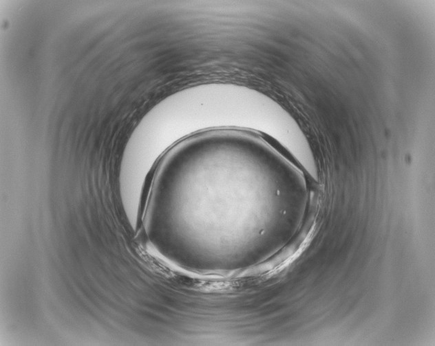X0000087580186200705112247