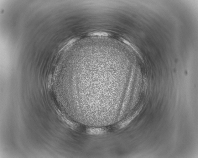 X0000087580189200705112247