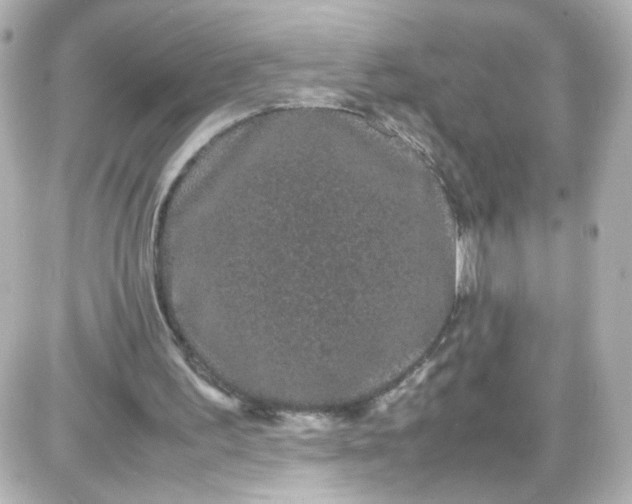 X0000087580195200705112246