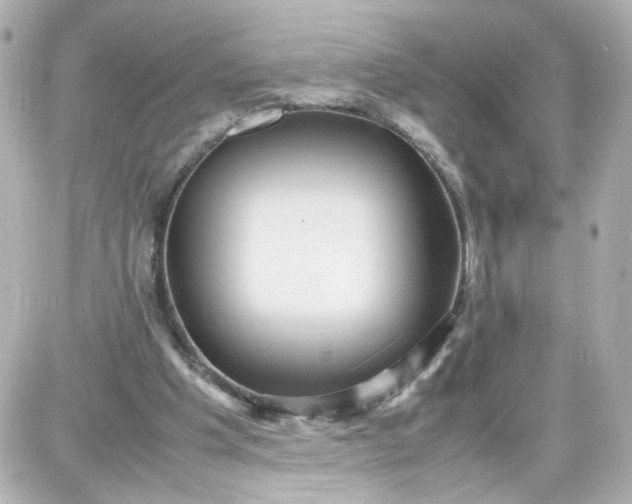 X0000087580201200705112246