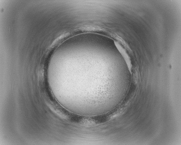 X0000087580207200705112246