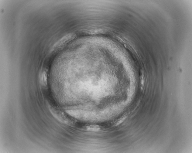 X0000087580214200705112246