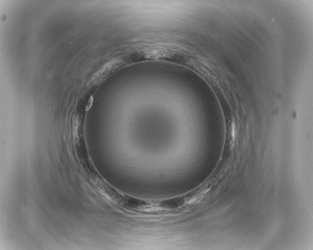 X0000087580219200705112246