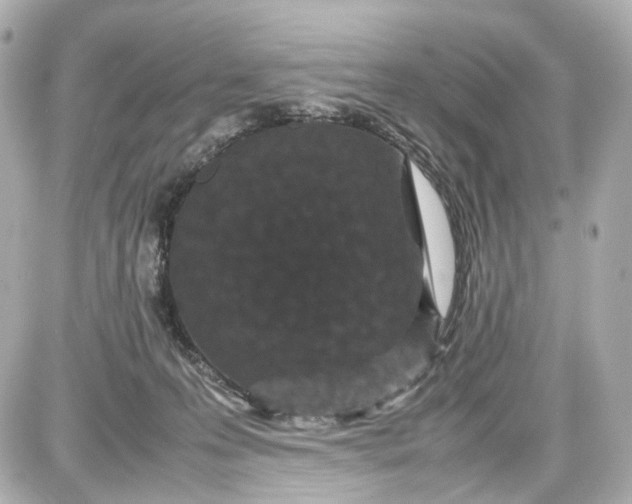 X0000087580223200705112246