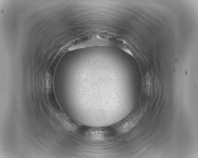 X0000087580228200705112246