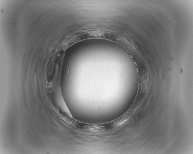 X0000087580229200705112246