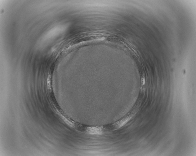 X0000087580238200705112246