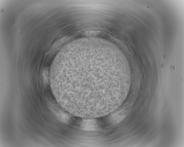 X0000087580240200705112246