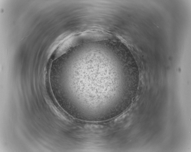 X0000087580242200705112245