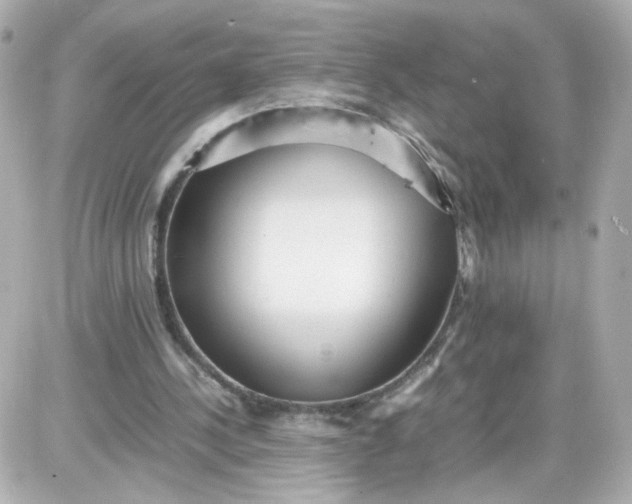 X0000087580244200705112245