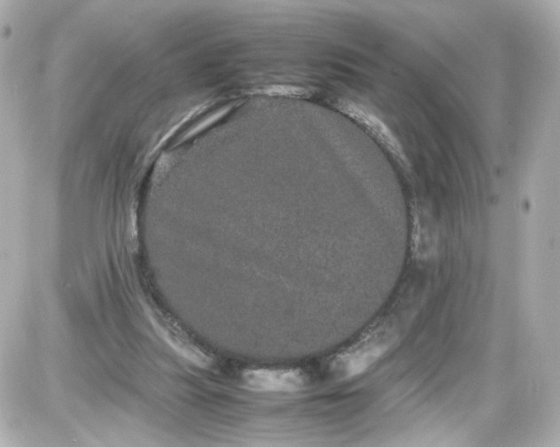 X0000087580251200705112245