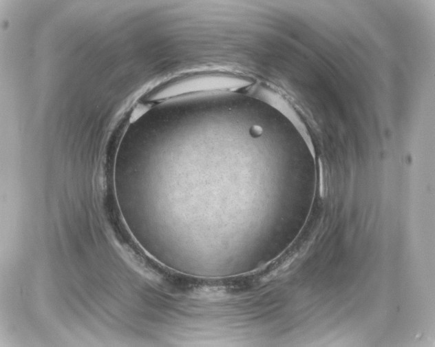 X0000087580252200705112245