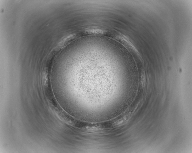 X0000087580259200705112245