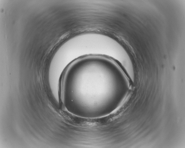 X0000087580260200705112245