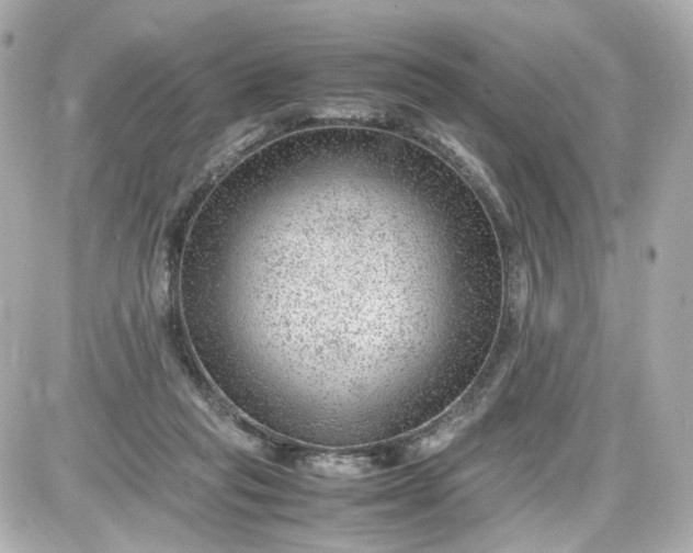 X0000087580261200705112245