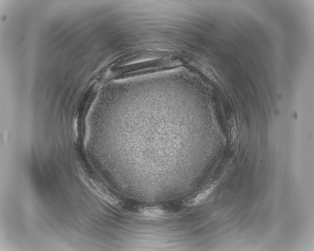 X0000087580262200705112245