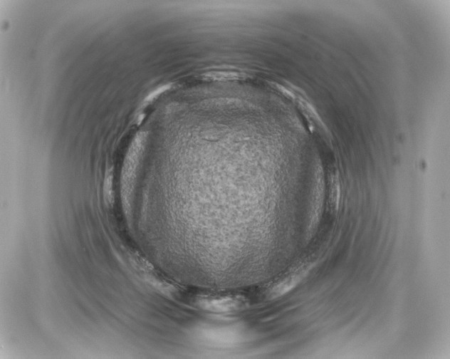 X0000087580267200705112245
