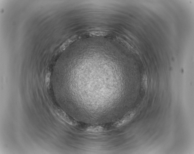 X0000087580271200705112245