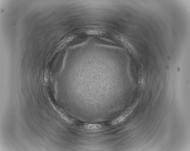 X0000087580277200705112246
