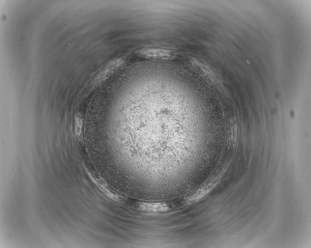X0000087580281200705112246