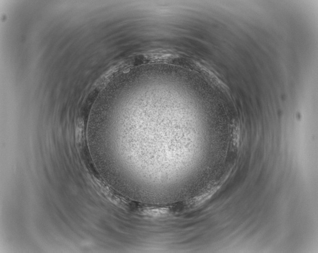 X0000087580283200705112246
