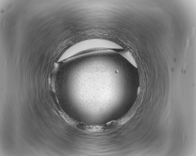 X0000087580288200705112246